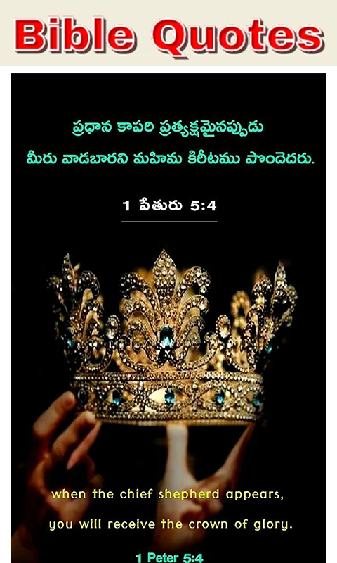 Bible Quotes Telugu screenshot