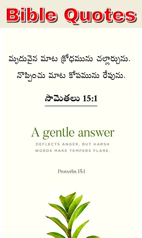 Bible Quotes Telugu screenshot